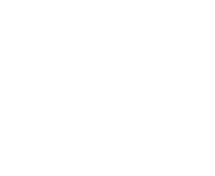 wing wing